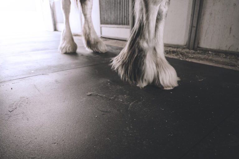 Rubber Stall Mats — Barn Depot