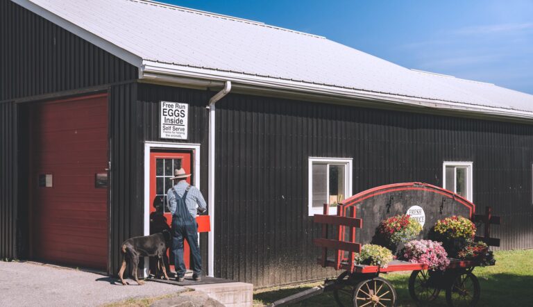 Rubber Stall Mats — Barn Depot