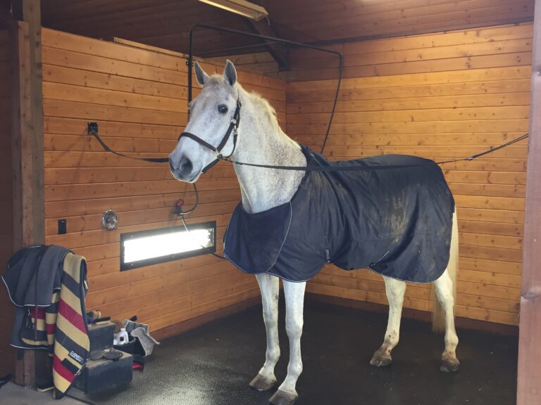 Rubber Stall Mats — Barn Depot