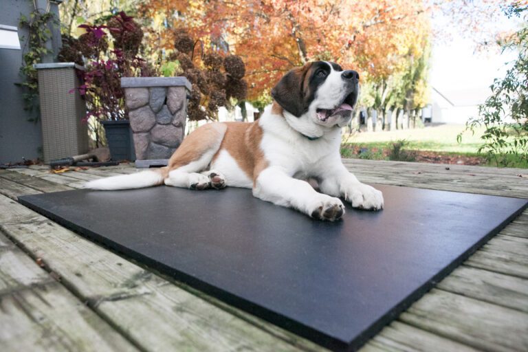 Rubber Stall Mats — Barn Depot